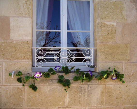 BA-cheverny-bd-scaled-800x629 (1) BA-cheverny-bd-scaled-800x629 (1)